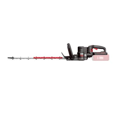 Gallery 7
