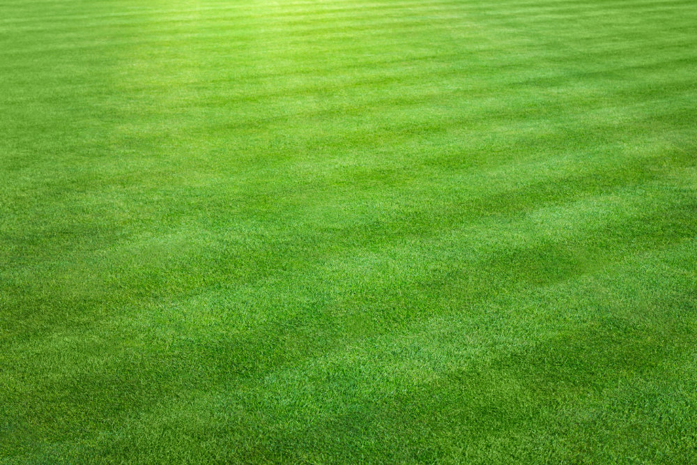 Ground Care Machinery